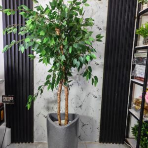 Luxury Artificial Ficus Tree with Premium Decorative Planter